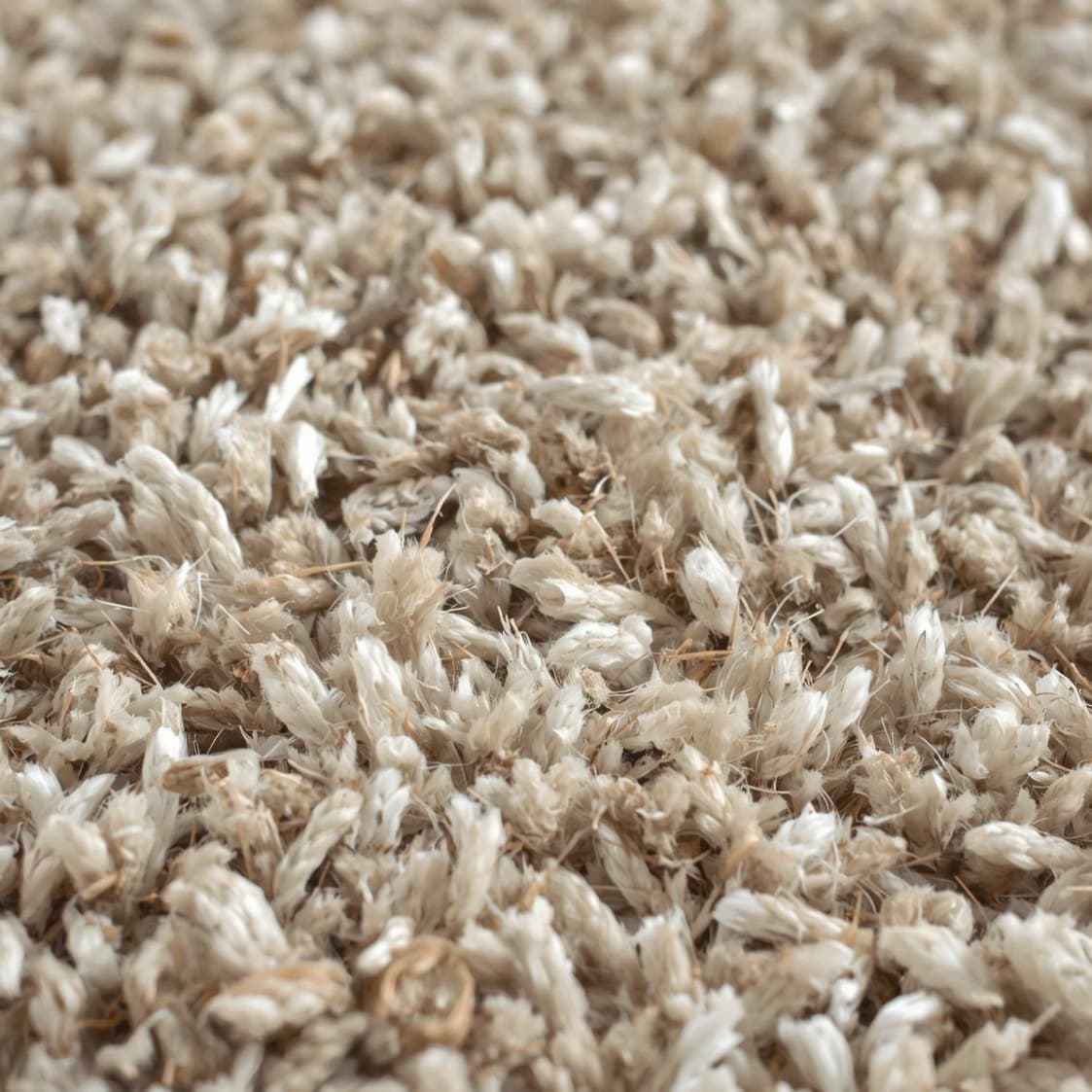 How Regular Carpet Cleaning Protects Your Flooring Investment
