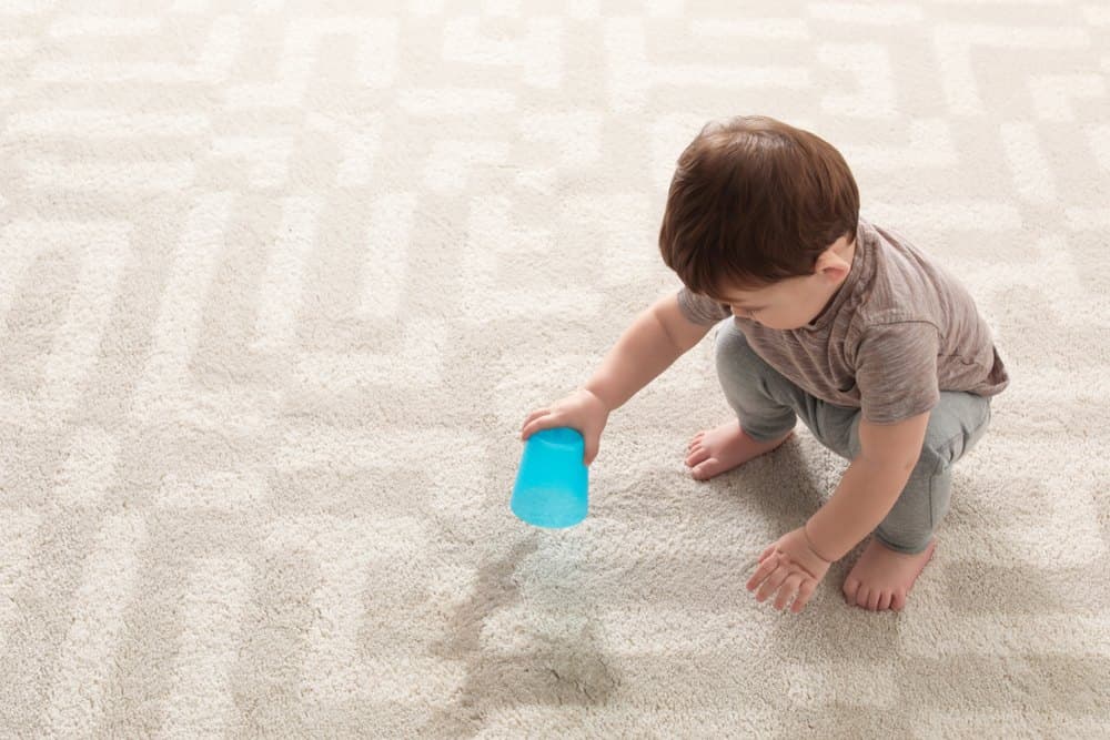 How to Get Slime Out of Carpet