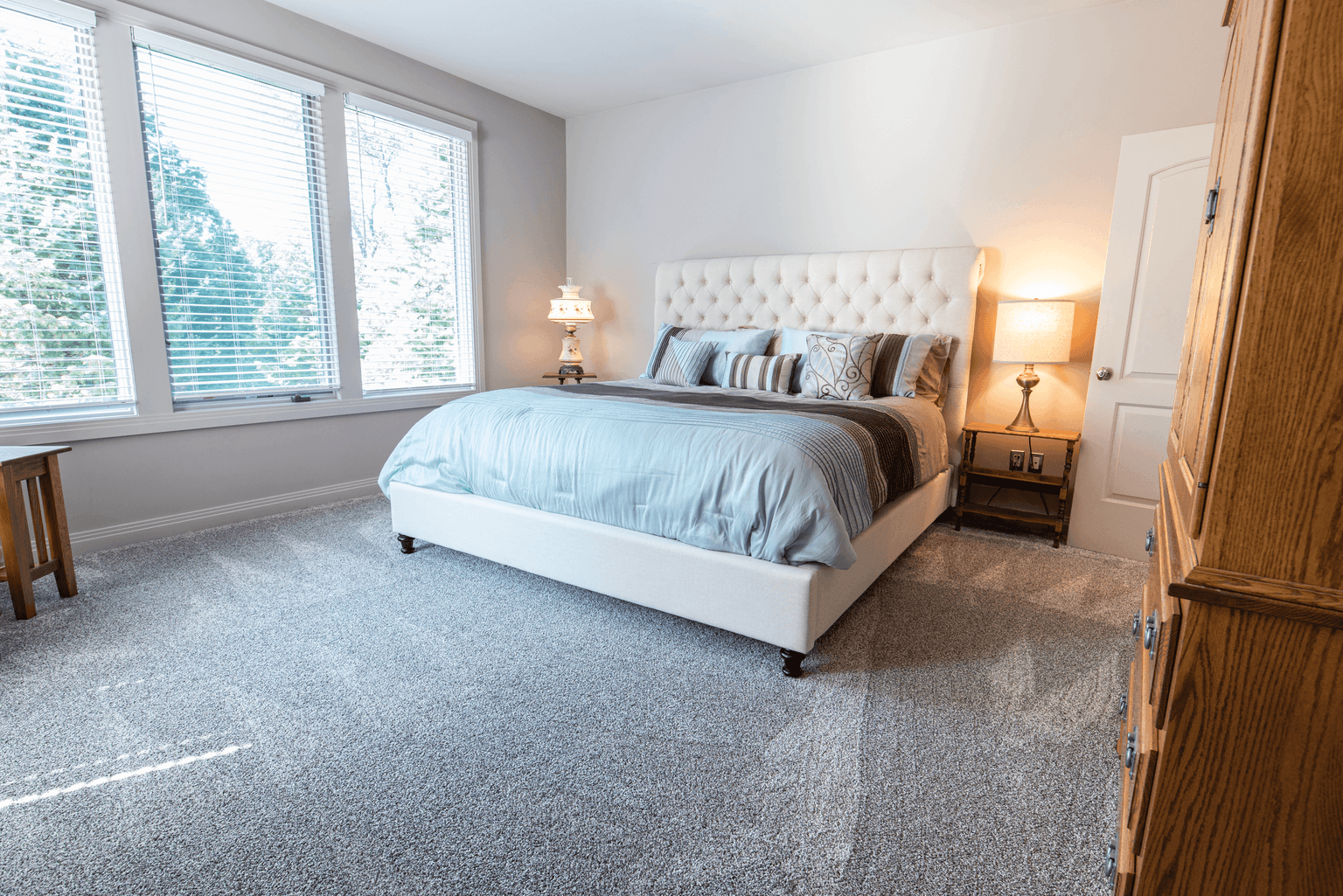 Carpet Cleaning