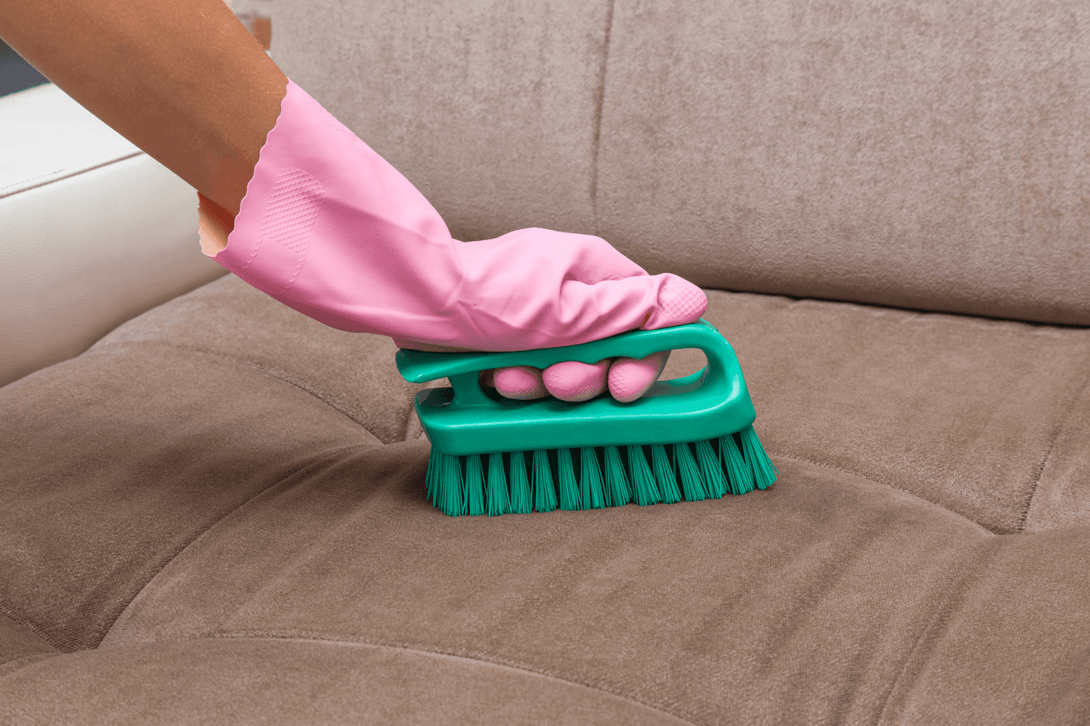 Upholstery Cleaning in Nashville TN