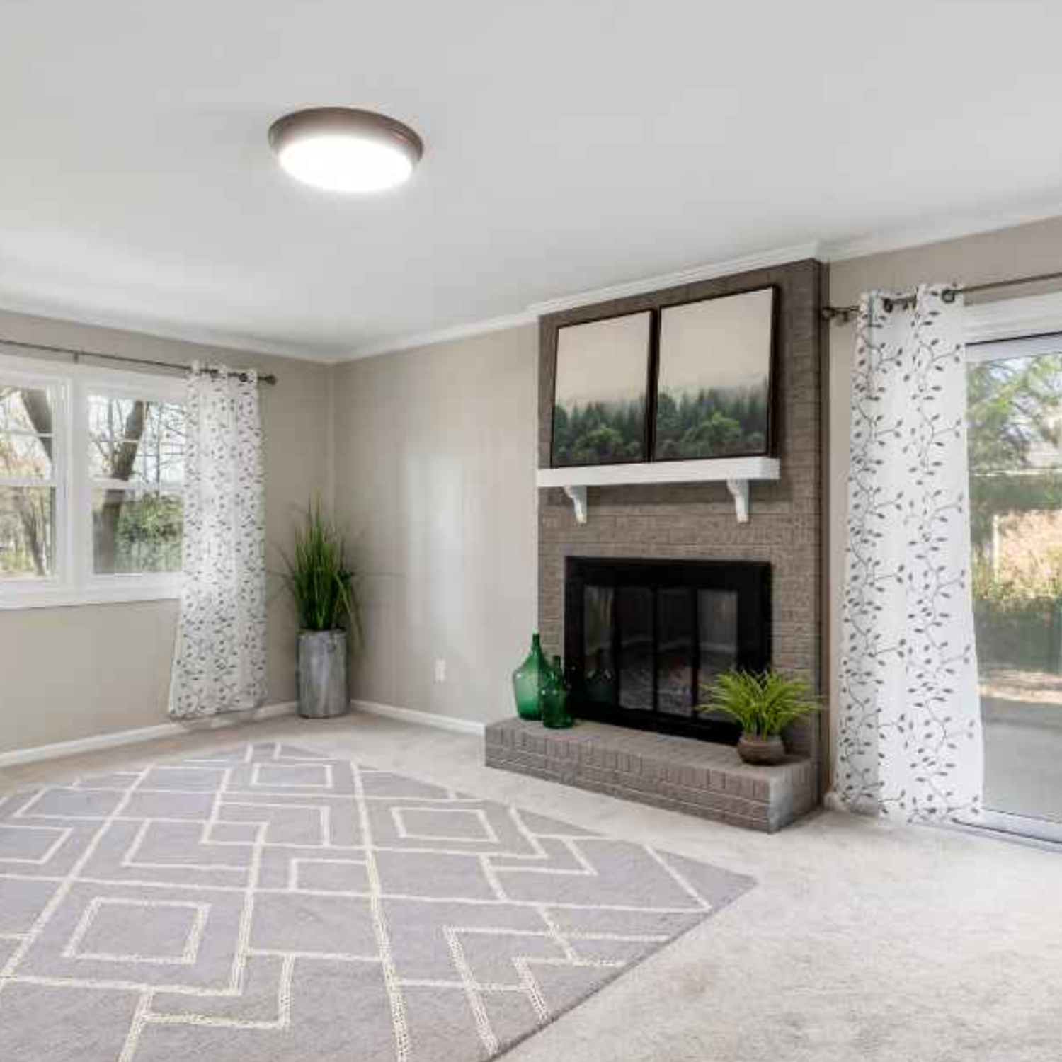 Modern home with clean carpet