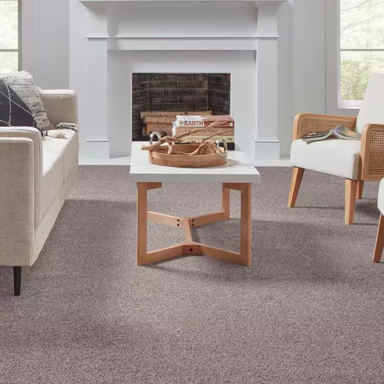Modern home with clean carpet