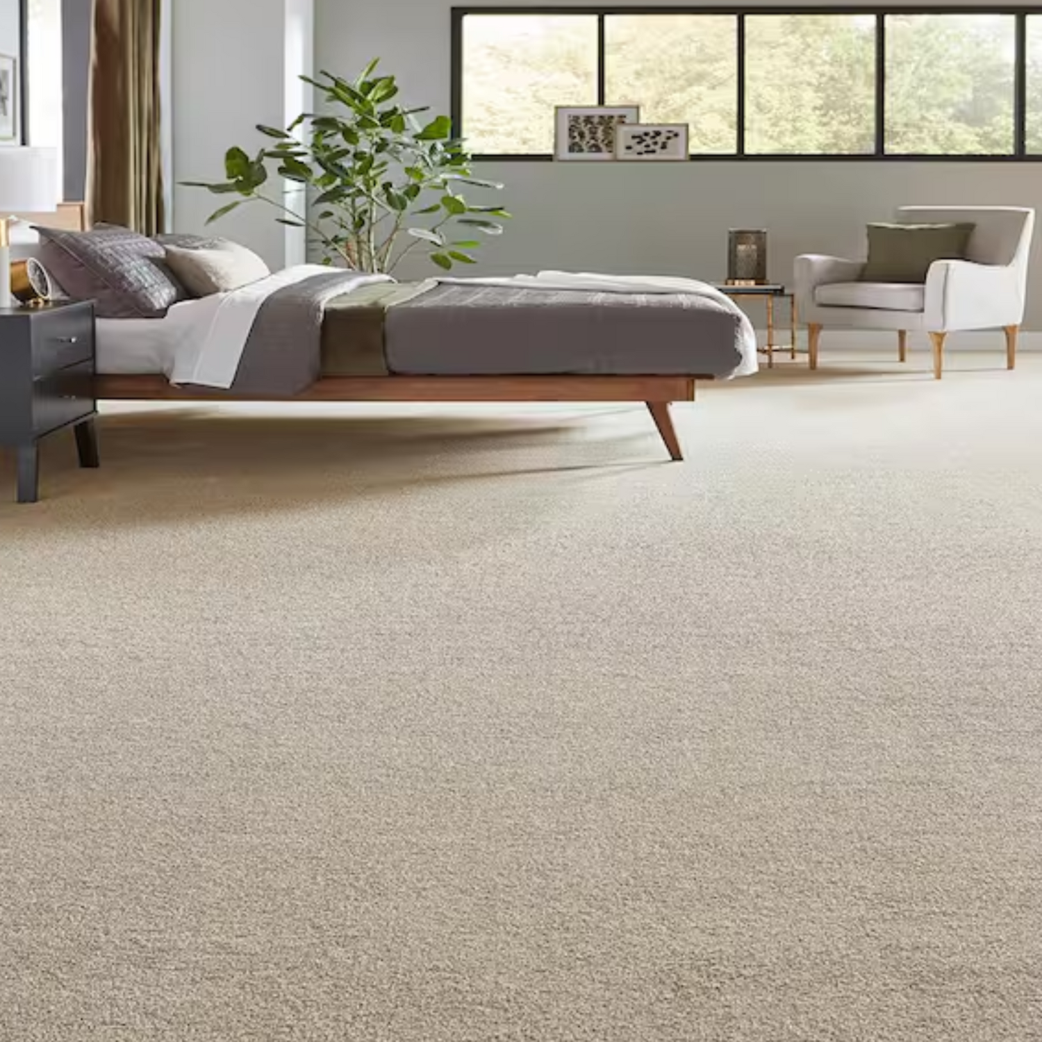 Modern home with clean carpet